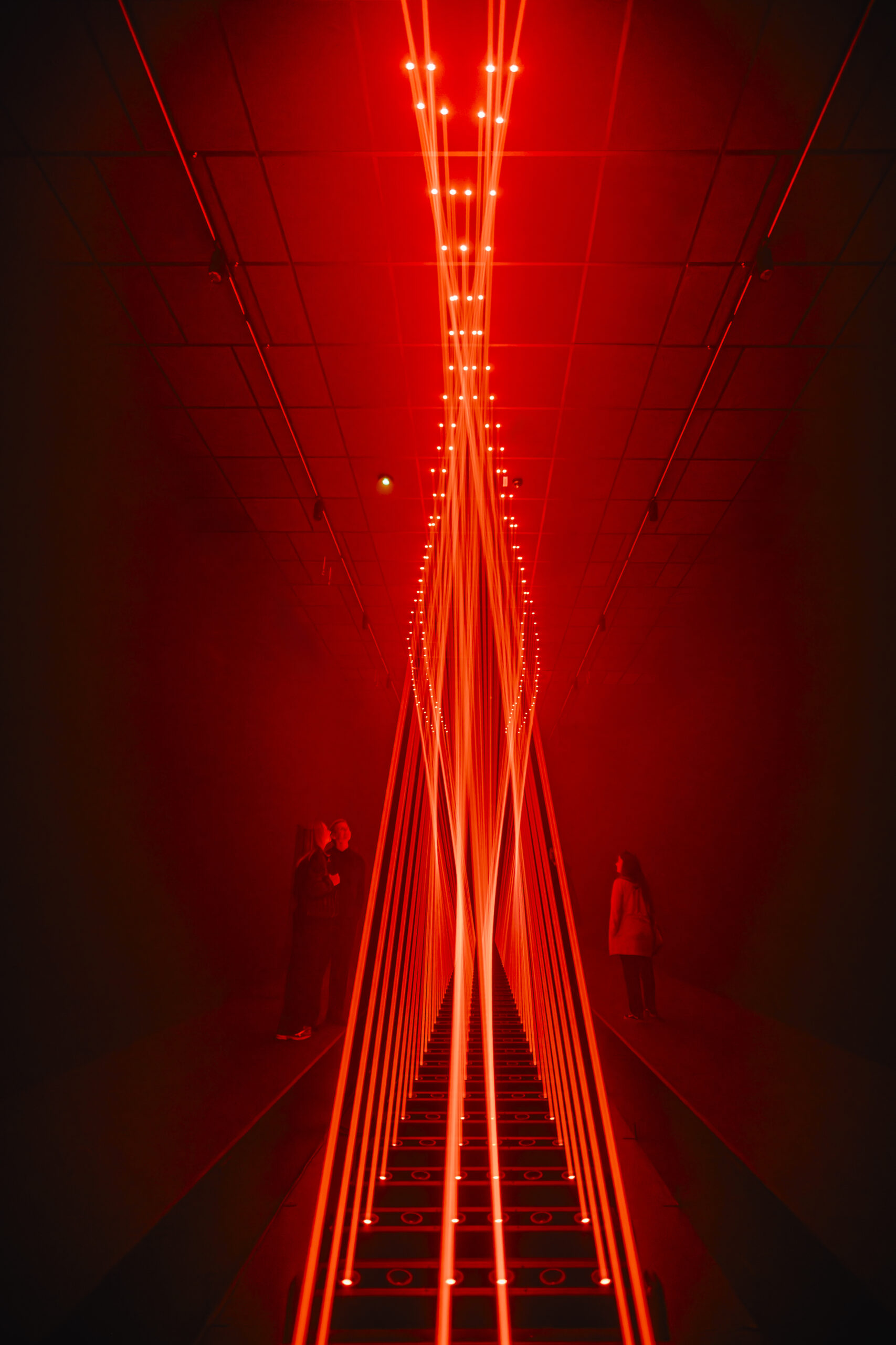 Signal Space